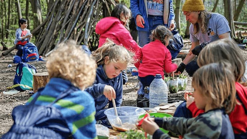 Forest schools